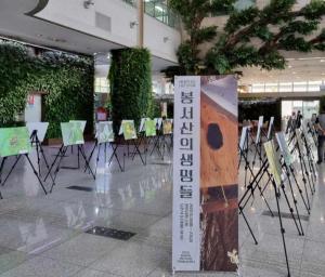 ‘봉서산의 생명들’ 사진전 천안시청 로비에서 개최