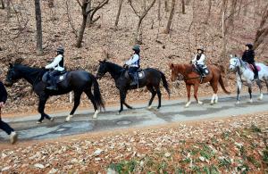 “승마로 배우는 이순신 정신”…아산시 ‘공공형 승마 프로그램’ 본격화
